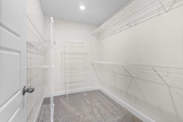 235 Donegal Dr, Clarksville, TN 37042 - walk in closet featuring carpet floors