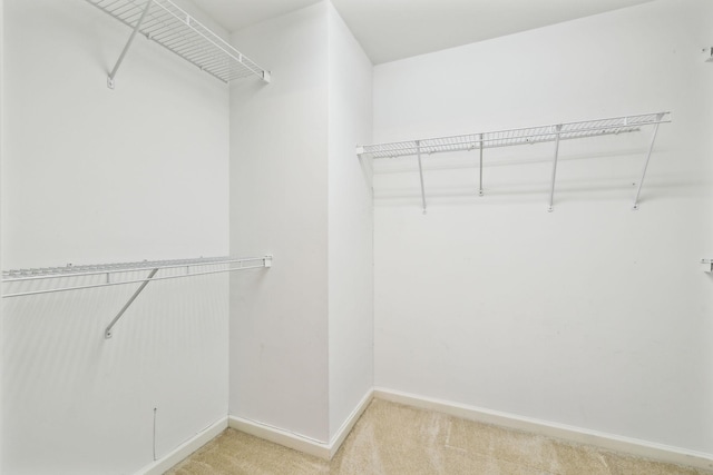 502 Village Green Cir, Murfreesboro, TN 37128 - spacious closet featuring light colored carpet
