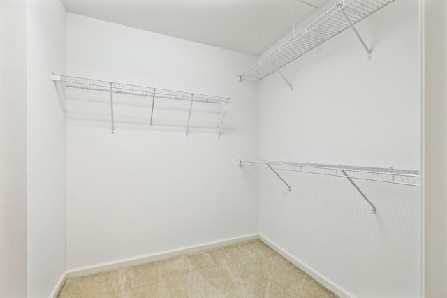 502 Village Green Cir, Murfreesboro, TN 37128 - spacious closet with light carpet
