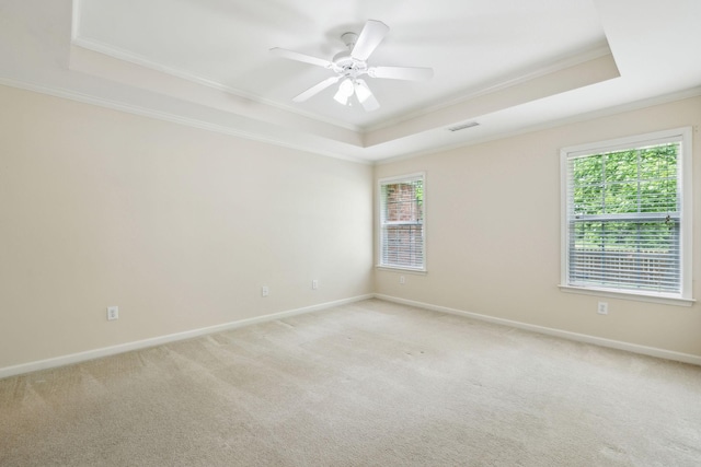 502 Village Green Cir, Murfreesboro, TN 37128 - unfurnished room with ornamental molding, a raised ceiling, light carpet, and baseboards
