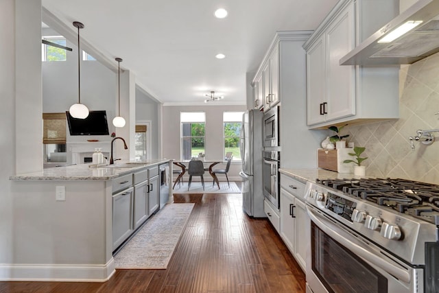 kitchen with a sink, stainless steel appliances, light stone countertops, ventilation hood, and dark wood finished floors