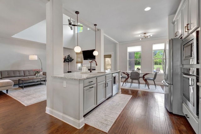 kitchen featuring open floor plan, a sink, dark wood-style flooring, and stainless steel appliances