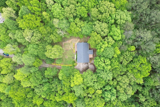 100 Treeann Ln, Ringgold, GA 30736 - aerial view