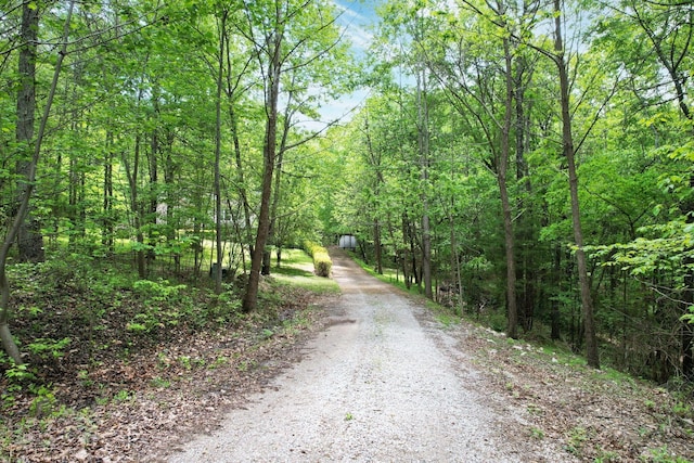 100 Treeann Ln, Ringgold, GA 30736 - view of road with a wooded view
