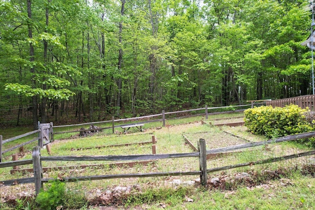 100 Treeann Ln, Ringgold, GA 30736 - view of gate with a vegetable garden, a forest view, and fence