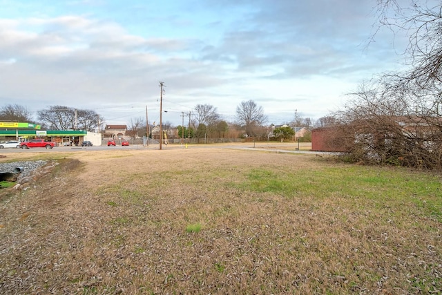 1308 Neelys Bend Rd, Madison, TN 37115 - view of yard
