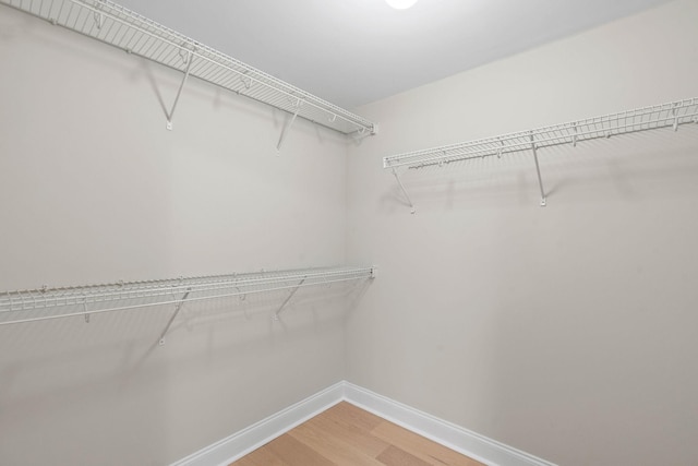 3201 Aspen Grove Dr Unit L8, Franklin, TN 37067 - spacious closet with light wood-style flooring