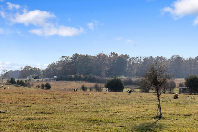 1883 Sawgrass Ln, Chapel Hill, TN 37034 - view of yard with a rural view