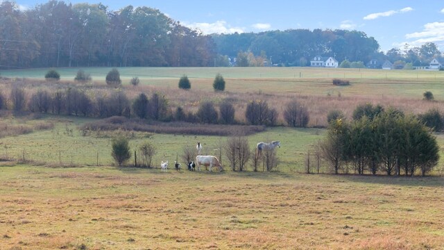 1883 Sawgrass Ln, Chapel Hill, TN 37034 - mountain view with a rural view