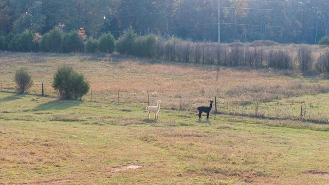 1883 Sawgrass Ln, Chapel Hill, TN 37034 - view of yard with fence and a rural view