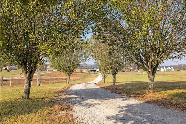 1883 Sawgrass Ln, Chapel Hill, TN 37034 - view of road with gravel driveway