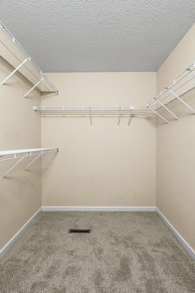 spacious closet with visible vents and carpet floors