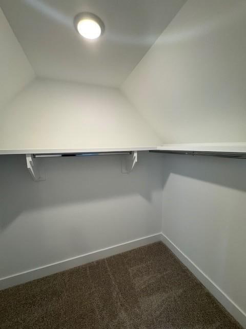 5738 Lennis Ln, Murfreesboro, TN 37129 - walk in closet with dark carpet and lofted ceiling