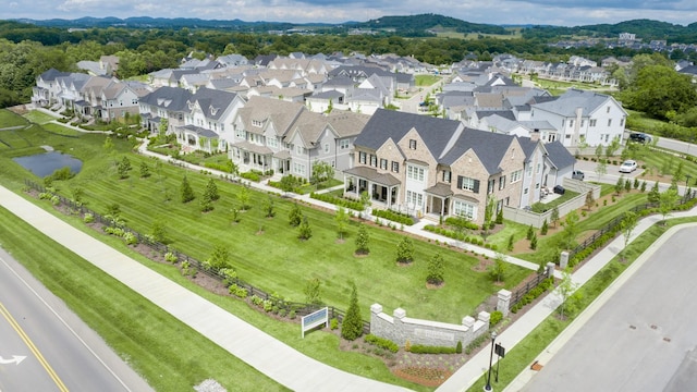 drone / aerial view