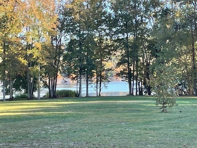 surrounding community with a yard