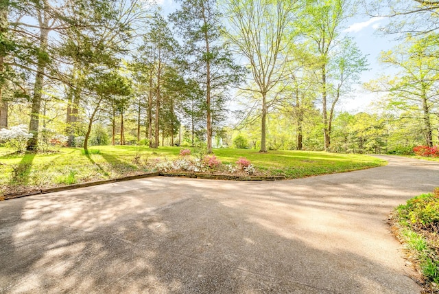 1331 Hutcheson Ln, Clarksville, TN 37040 - surrounding community with a yard