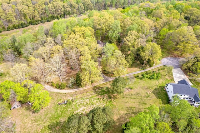 1331 Hutcheson Ln, Clarksville, TN 37040 - birds eye view of property featuring a view of trees