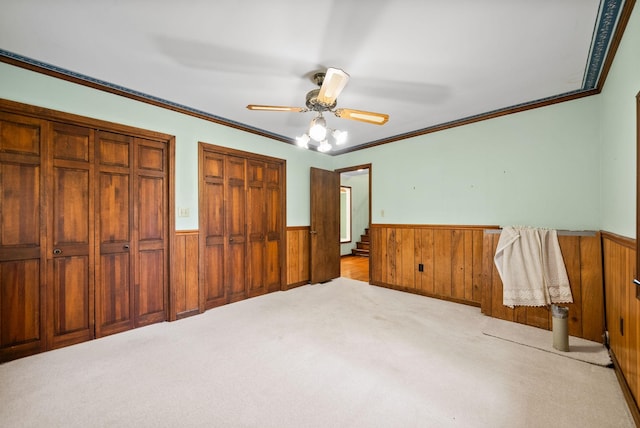1331 Hutcheson Ln, Clarksville, TN 37040 - unfurnished bedroom with wooden walls, a wainscoted wall, ornamental molding, and carpet floors