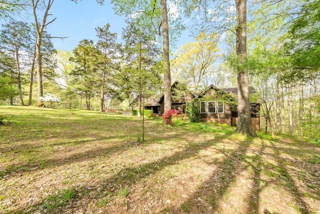 1331 Hutcheson Ln, Clarksville, TN 37040 - view of yard