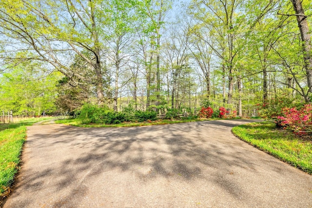 1331 Hutcheson Ln, Clarksville, TN 37040 - view of road featuring a forest view