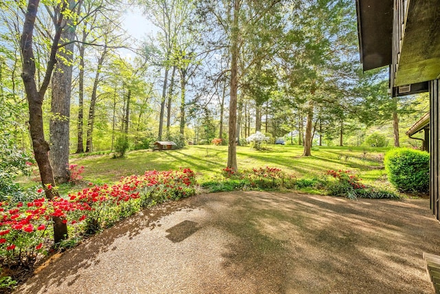 1331 Hutcheson Ln, Clarksville, TN 37040 - view of yard