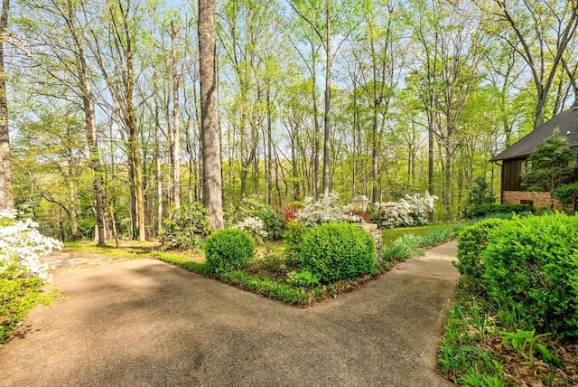 1331 Hutcheson Ln, Clarksville, TN 37040 - view of yard