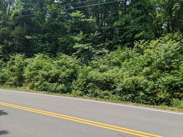 0 Bluff Rd, Brentwood, TN 37027 - photo 3