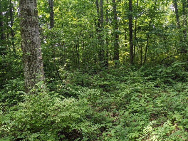 0 Bluff Rd, Brentwood, TN 37027 - photo 2