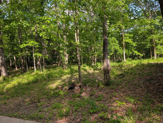 0 Bluff Rd, Brentwood, TN 37027 - photo 4