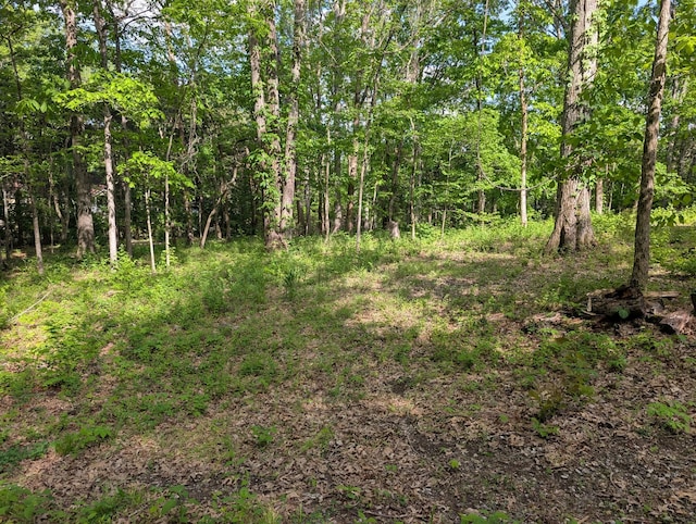 0 Bluff Rd, Brentwood, TN 37027 - photo 1