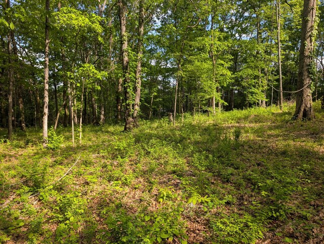 0 Bluff Rd, Brentwood, TN 37027 - photo 6