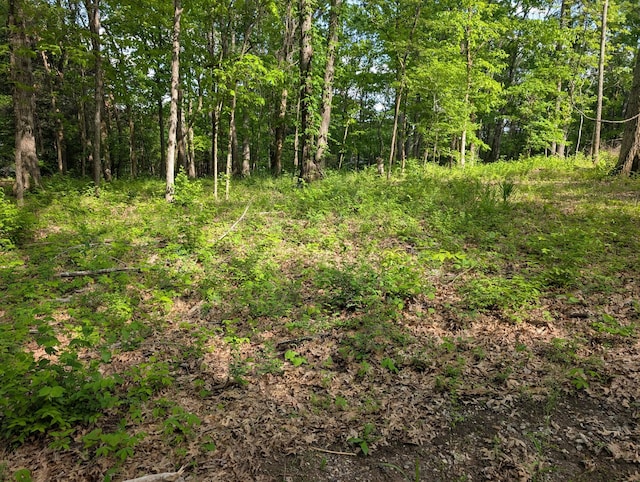 0 Bluff Rd, Brentwood, TN 37027 - photo 5