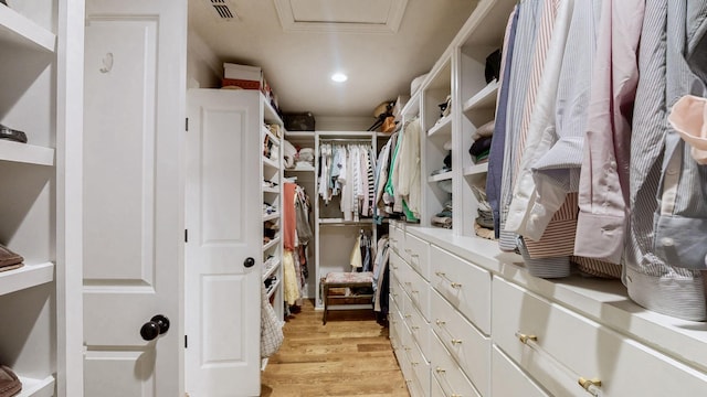 spacious closet with attic access, visible vents, and light wood finished floors
