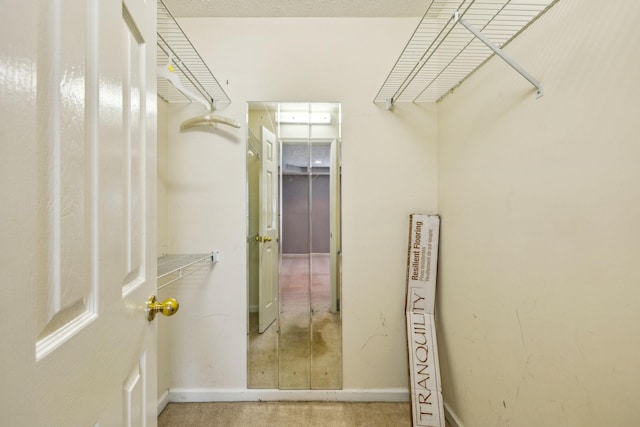 walk in closet with carpet