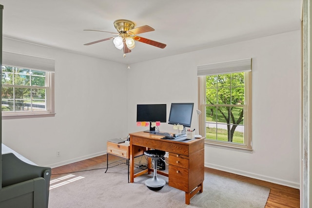 93 Hilltop Dr, Columbia, TN 38401 - office space with baseboards, ceiling fan, wood finished floors, and a wealth of natural light