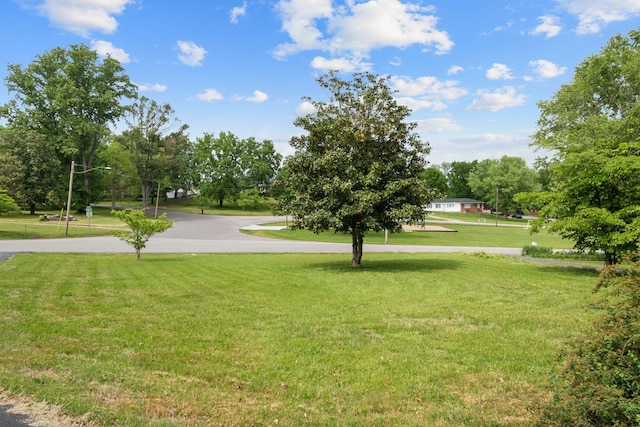 93 Hilltop Dr, Columbia, TN 38401 - view of yard
