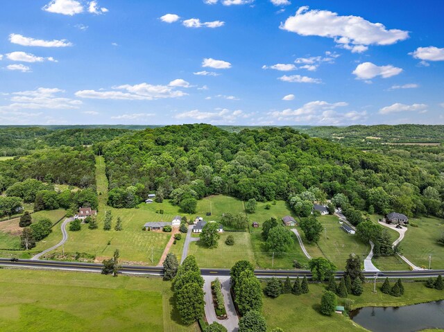 3055 Carters Creek Pike, Franklin, TN 37064 - overview of rural landscape featuring a forest