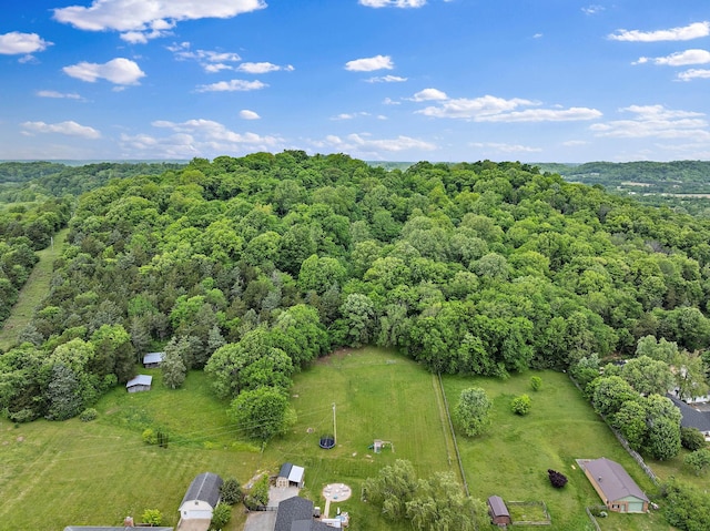 3055 Carters Creek Pike, Franklin, TN 37064 - bird's eye view of a heavily wooded area