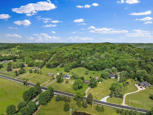 3055 Carters Creek Pike, Franklin, TN 37064 - aerial overview of property's location with a heavily wooded area and rural landscape