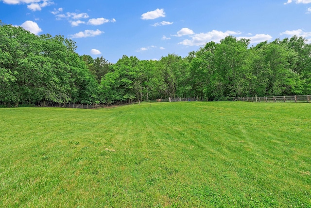 3055 Carters Creek Pike, Franklin, TN 37064 - view of yard with a view of rural / pastoral area and a wooded view