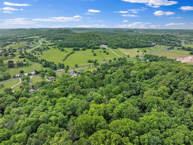 3055 Carters Creek Pike, Franklin, TN 37064 - view of rural area with a heavily wooded area