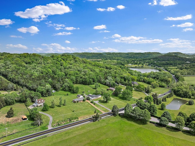 3055 Carters Creek Pike, Franklin, TN 37064 - overview of rural landscape featuring a nearby body of water and a heavily wooded area