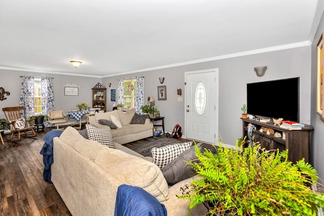 living room featuring ornamental molding and a healthy amount of sunlight