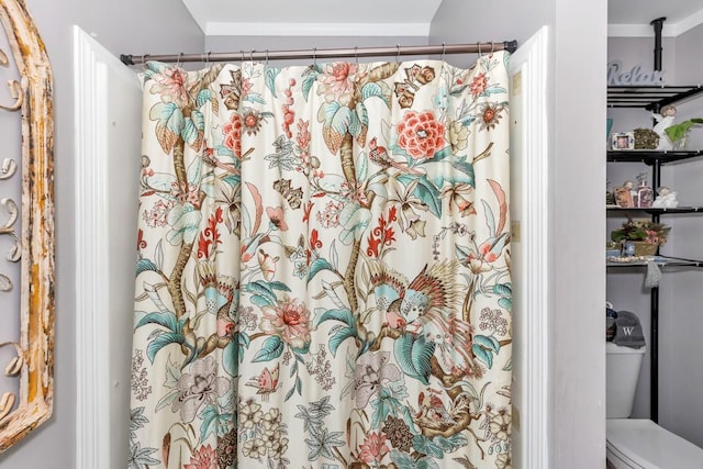 full bathroom featuring toilet and a shower with shower curtain
