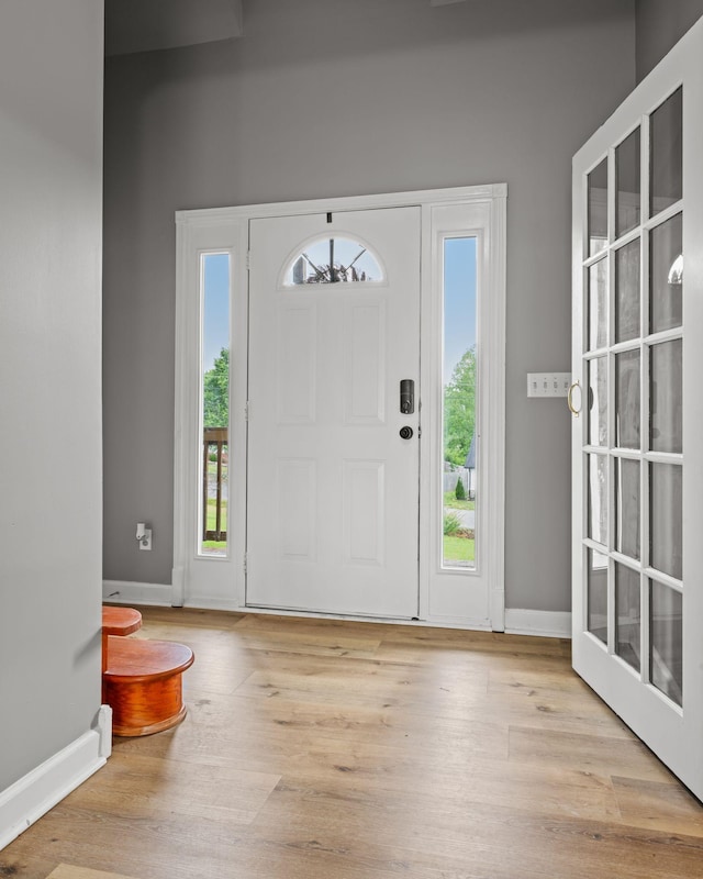 830 Blakemore Rd, Dickson, TN 37055 - foyer entrance featuring baseboards, plenty of natural light, and wood finished floors