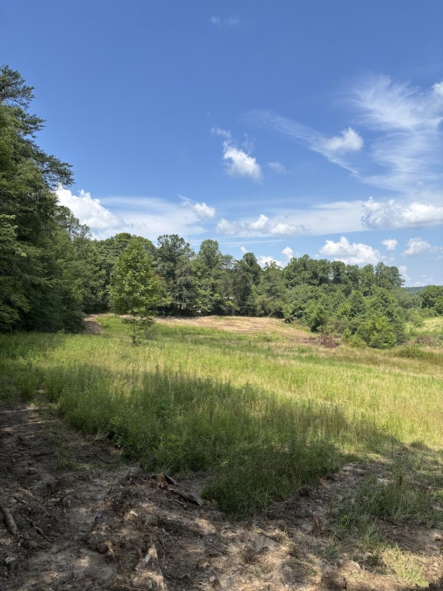 0 Myers Hill Rd, Tracy City, TN 37387 - photo 10