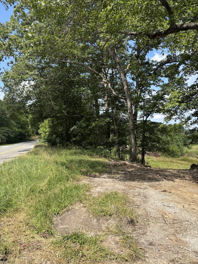0 Myers Hill Rd, Tracy City, TN 37387 - photo 9