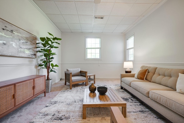 carpeted living room featuring visible vents and a drop ceiling