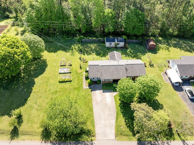drone / aerial view