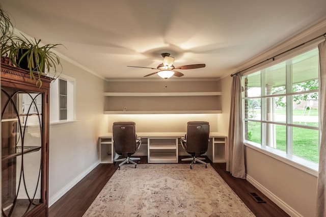 office featuring crown molding, ceiling fan, baseboards, dark wood-type flooring, and visible vents